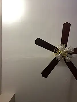 islandvybee55 online show from April 15, 2026, 11:59 am