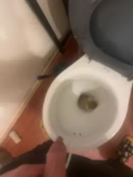 jobart-off online show from January 18, 2026, 11:02 am