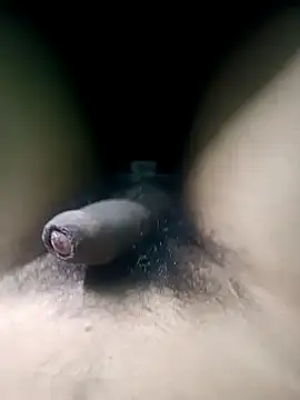 Snapshot of AloneDick chatting on November 1, 2025, 9:47 am AloneDick online show from November 1, 2025, 9:47 am