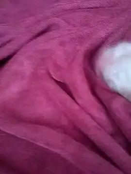 Snapshot of Maksim030 chatting on December 10, 2024, 9:55 am Maksim030 online show from December 10, 2024, 9:55 am