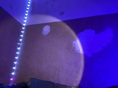 saint cat25 online show from March 27, 2026, 10:43 pm