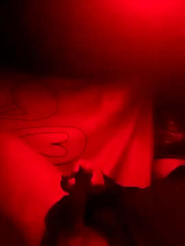 rayhot69 online show from December 23, 2024, 3:50 am