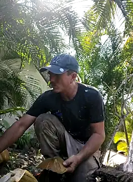 Snapshot of mexlog chatting on October 31, 2025, 5:09 pm mexlog online show from October 31, 2025, 5:09 pm