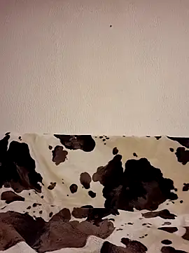 Zgodanilep online show from October 24, 2025, 7:02 pm