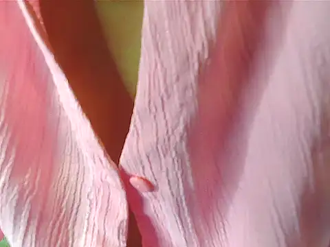 your Shanvi online show from October 4, 2025, 7:59 pm