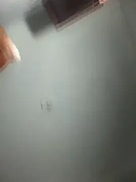 Snapshot of doll_celeste20 chatting on September 26, 2025, 9:54 pm doll celeste20 online show from September 26, 2025, 9:54 pm