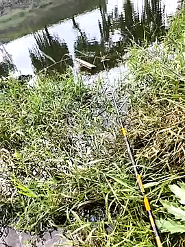 Snapshot of huzi518 chatting on October 7, 2025, 6:36 am huzi518 online show from October 7, 2025, 6:36 am