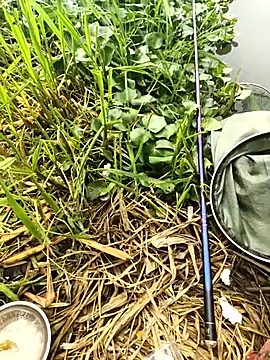 Snapshot of huzi518 chatting on September 27, 2025, 3:23 am huzi518 online show from September 27, 2025, 3:23 am