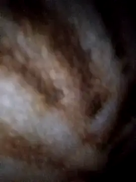 Snapshot of YuliannaFox chatting on February 4, 2025, 9:52 pm YuliannaFox online show from February 4, 2025, 9:52 pm