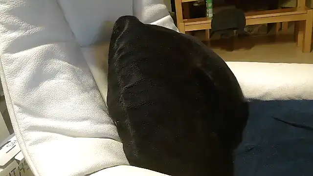 defttonguexxx online show from January 8, 2026, 9:21 pm