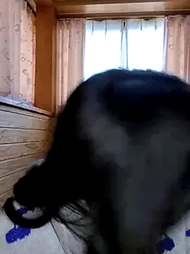 Kurage chan online show from February 25, 2025, 3:20 am