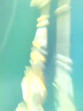 Snapshot of Ananya_34 chatting on October 1, 2025, 2:49 am Ananya 34 online show from October 1, 2025, 2:49 am