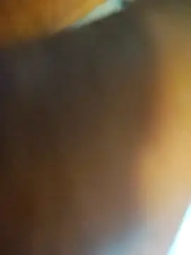 ptrz990 online show from February 17, 2026, 1:52 pm