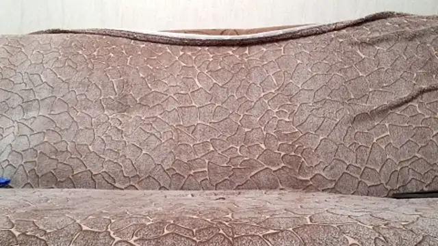 AlDON59 online show from November 28, 2025, 8:03 am