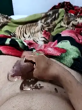 01kirito online show from February 28, 2026, 11:04 pm