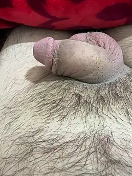 TheArabicGuyx online show from February 25, 2026, 7:47 pm