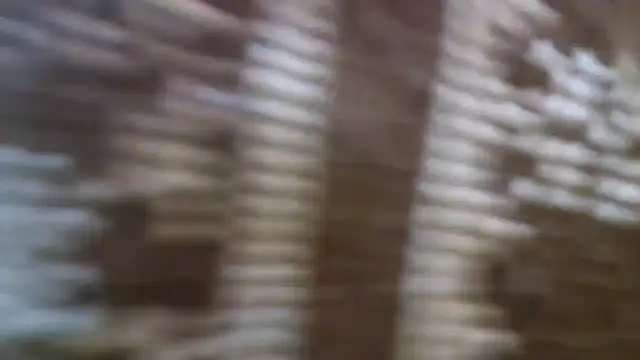 Snapshot of 10Wien11F chatting on March 2, 2025, 9:19 pm 10Wien11F online show from March 2, 2025, 9:19 pm