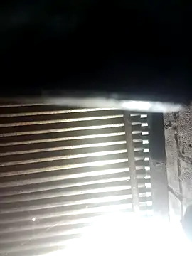 Snapshot of Huebolocko chatting on December 29, 2024, 6:56 am Huebolocko online show from December 29, 2024, 6:56 am