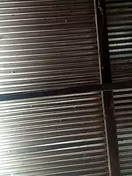 Snapshot of Huebolocko chatting on December 3, 2024, 6:22 pm Huebolocko online show from December 3, 2024, 6:22 pm