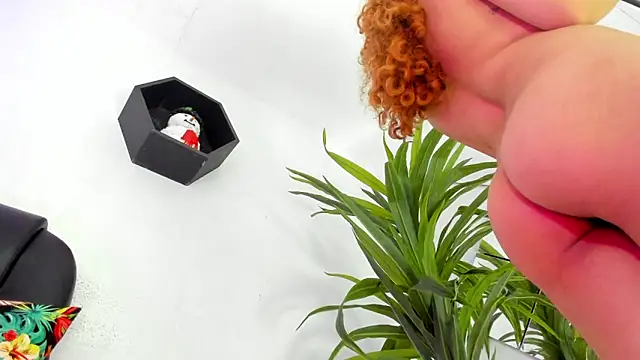 Medusa velvet online show from December 6, 2024, 1:57 am