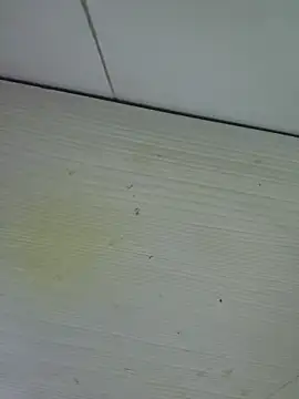 Snapshot of Nyx_nayla chatting on November 1, 2025, 8:19 am Nyx nayla online show from November 1, 2025, 8:19 am