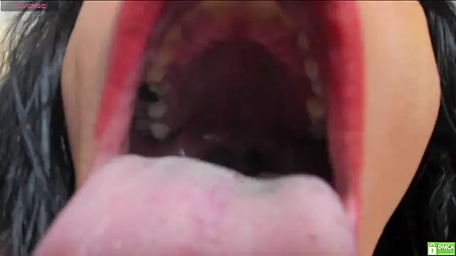 bigblacktransxxx online show from March 1, 2026, 4:12 am