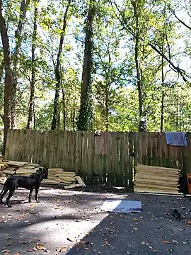 Snapshot of Buffshagswell chatting on October 21, 2025, 4:06 pm Buffshagswell online show from October 21, 2025, 4:06 pm