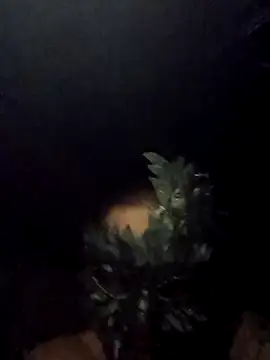 Snapshot of Buffshagswell chatting on September 15, 2025, 5:30 am Buffshagswell online show from September 15, 2025, 5:30 am