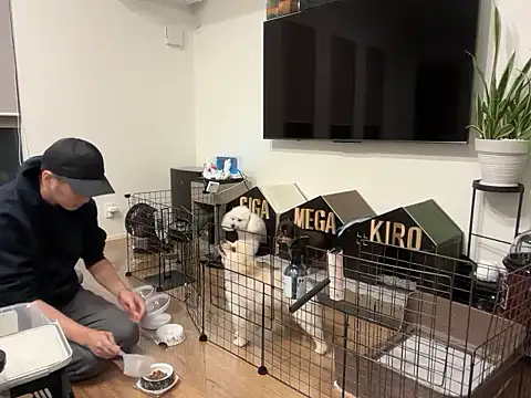 Snapshot of kensnb chatting on October 21, 2025, 9:30 am kensnb online show from October 21, 2025, 9:30 am