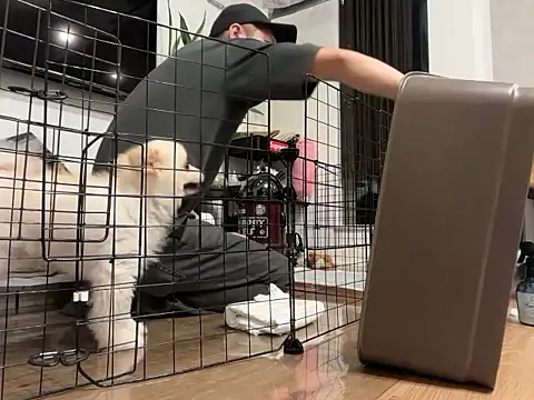 Snapshot of kensnb chatting on October 10, 2025, 8:48 am kensnb online show from October 10, 2025, 8:48 am