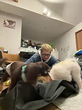 Snapshot of kensnb chatting on February 2, 2026, 8:08 pm kensnb online show from February 2, 2026, 8:08 pm