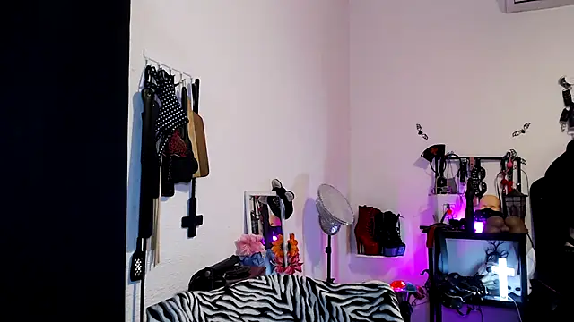 Ryder D Bauchery online show from February 3, 2026, 7:02 am