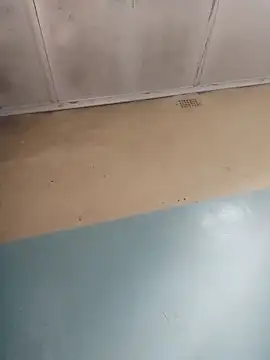 Snapshot of 123hkkwjsbsbsb chatting on December 3, 2024, 7:05 am 123hkkwjsbsbsb online show from December 3, 2024, 7:05 am