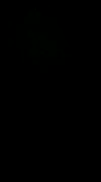 Snapshot of pelarrico12 chatting on January 1, 2025, 5:01 am pelarrico12 online show from January 1, 2025, 5:01 am