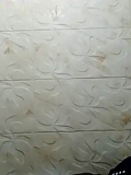 Snapshot of luchoarr chatting on November 2, 2025, 3:33 am luchoarr online show from November 2, 2025, 3:33 am