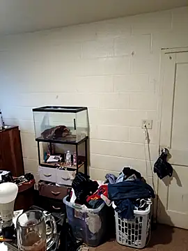 Snapshot of TickleMeKink chatting on September 18, 2025, 11:24 am TickleMeKink online show from September 18, 2025, 11:24 am