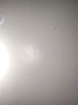 Snapshot of TickleMeKink chatting on October 14, 2025, 8:59 am TickleMeKink online show from October 14, 2025, 8:59 am