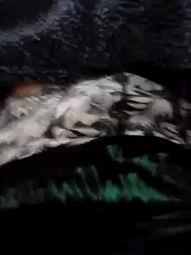 Snapshot of PulaMaresiexcitata12 chatting on January 19, 2025, 10:06 am PulaMaresiexcitata12 online show from January 19, 2025, 10:06 am