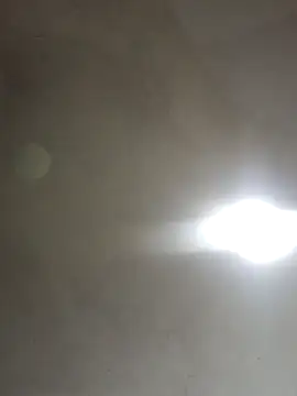  violetta - online show from November 5, 2025, 8:23 pm