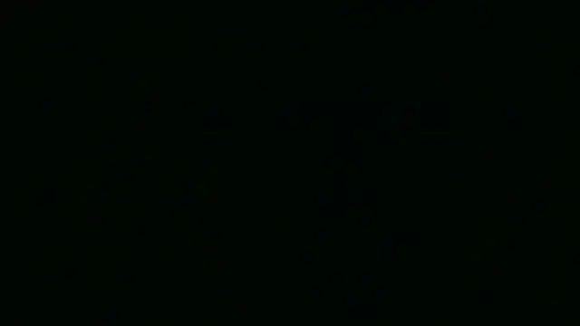 Garima G online show from April 7, 2026, 2:08 pm