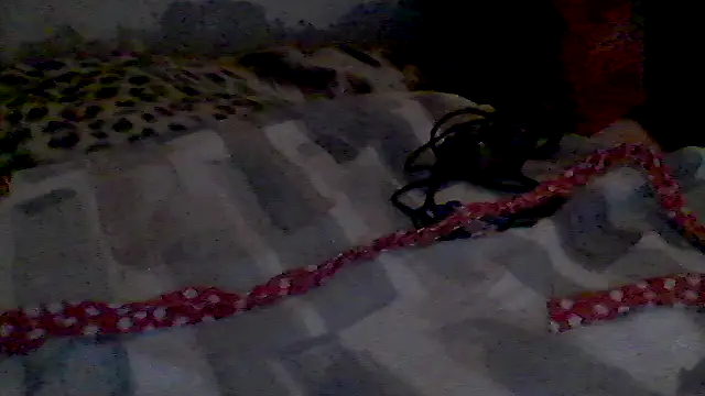 Snapshot of pornstarbrezillian chatting on October 7, 2025, 12:17 pm pornstarbrezillian online show from October 7, 2025, 12:17 pm