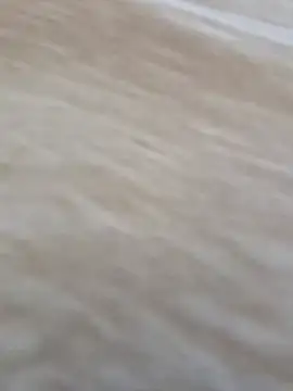 Public Katrisha online show from January 14, 2026, 2:20 pm