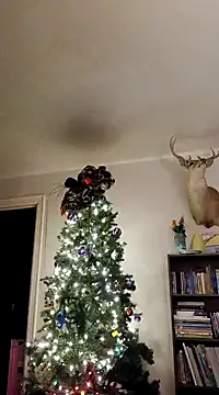 dncroys88 online show from January 9, 2025, 5:02 am