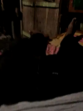 Snapshot of GapingConker chatting on October 31, 2025, 11:40 am GapingConker online show from October 31, 2025, 11:40 am