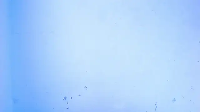 Snapshot of April_sexycurvi chatting on September 18, 2025, 7:55 am April sexycurvi online show from September 18, 2025, 7:55 am