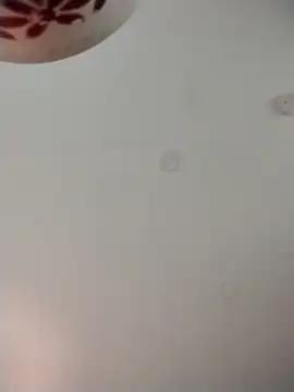 geilerschwanz64 online show from November 9, 2025, 1:53 am