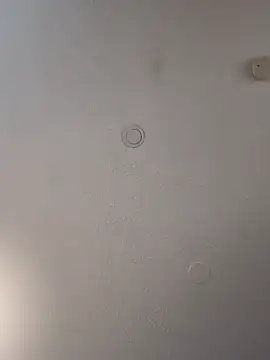 Snapshot of geilerschwanz64 chatting on February 19, 2025, 7:05 pm geilerschwanz64 online show from February 19, 2025, 7:05 pm