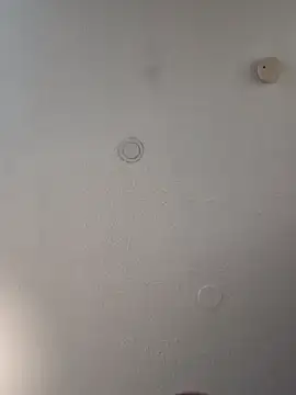 Snapshot of geilerschwanz64 chatting on February 12, 2025, 8:18 pm geilerschwanz64 online show from February 12, 2025, 8:18 pm