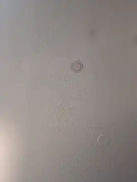 Snapshot of geilerschwanz64 chatting on March 12, 2025, 4:46 pm geilerschwanz64 online show from March 12, 2025, 4:46 pm