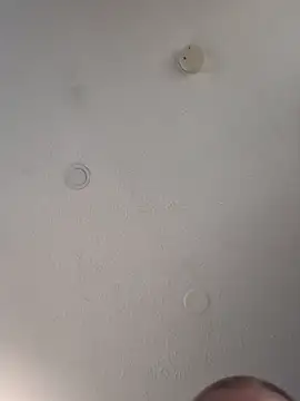 Snapshot of geilerschwanz64 chatting on March 14, 2025, 8:17 pm geilerschwanz64 online show from March 14, 2025, 8:17 pm